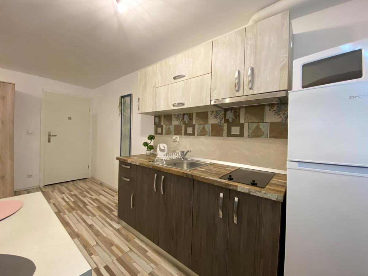 Blue Dream Apartment Timisoara Exterior photo