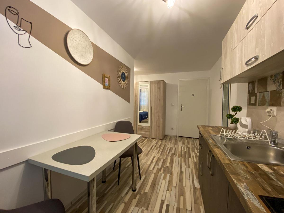 Blue Dream Apartment Timisoara Exterior photo
