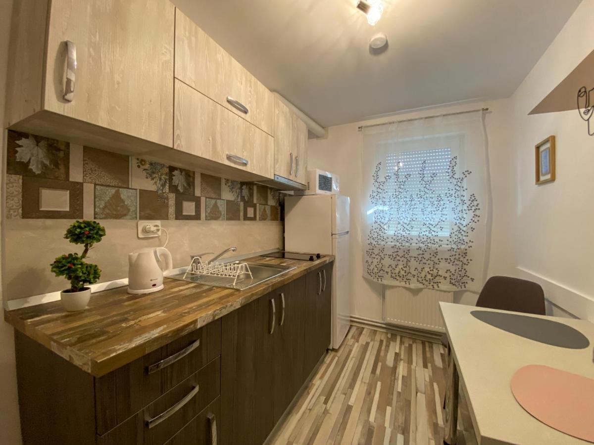 Blue Dream Apartment Timisoara Exterior photo